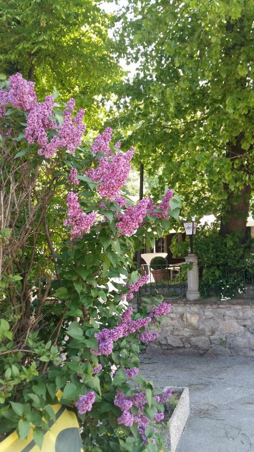 Gasthof Manhalter Pitten ภายนอก รูปภาพ
